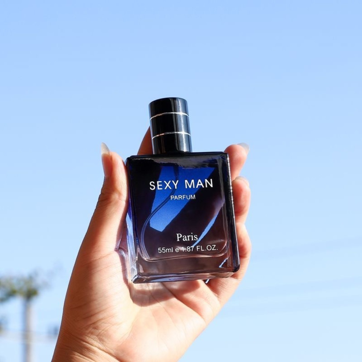 Perfume Fragrance Perfume - Erkekler İçin Odunsu ve Denizsiyeni Kokulu