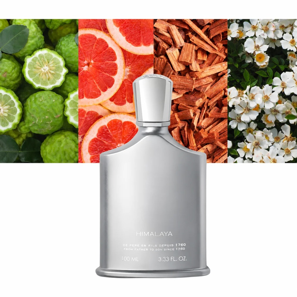 Aventus Erkek Parfümü 100ml ED - Perfume Fragrance For Men incelemesi ve fiyatı