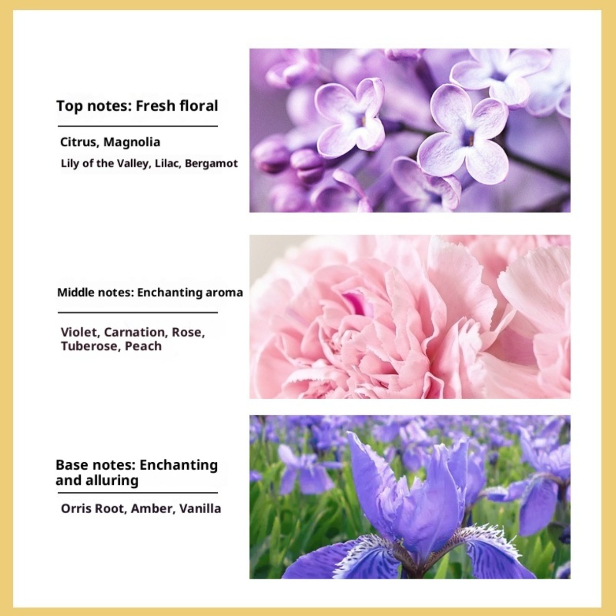 Hayır. 5 Kadınlar İçin Eau de  - Perfume Fragrance Brands incelemesi ve fiyatı